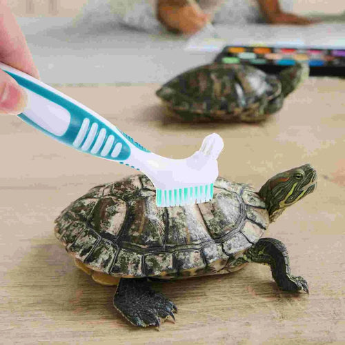 Aquatic Turtle Cleaning Brush Tortoise Shell Mud Clean Brush Turtle Shell Cleaning Tool - Ammpoure Wellbeing 🇬🇧