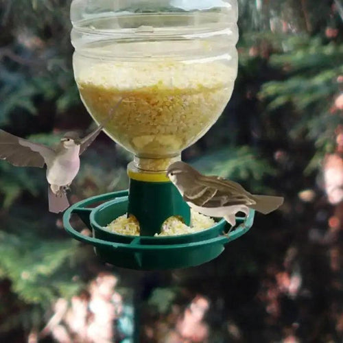 Automatic Bird Feeder Automatic Hygienic Wild Bird Feeders Bird Accessories Food Dispenser For Balconies Patios Courtyards - Ammpoure Wellbeing 🇬🇧
