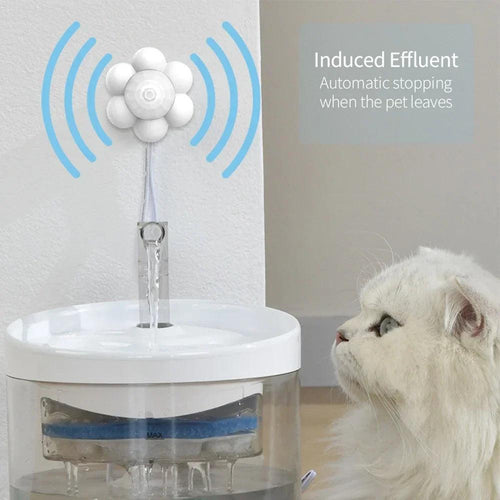 Automatic Home Pet Water Dispenser Motion Sensor Filter Fountain Universal Infrared USB Powered Detector Dog Cat Accessories - Ammpoure Wellbeing