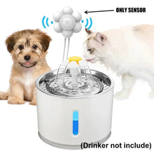 Load image into Gallery viewer, Automatic Home Pet Water Dispenser Motion Sensor Filter Fountain Universal Infrared USB Powered Detector Dog Cat Accessories - Ammpoure Wellbeing
