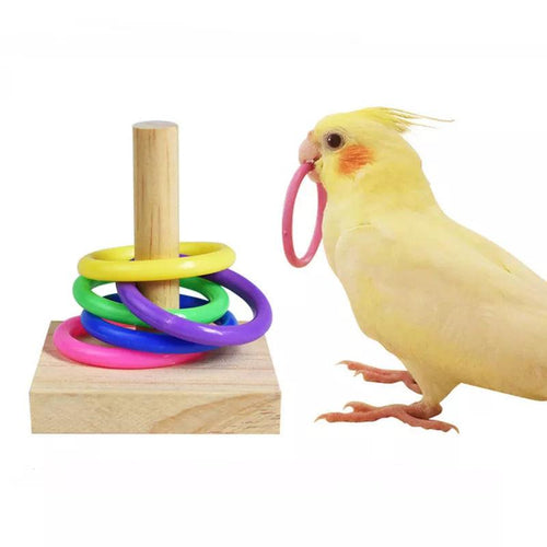 Bird Training Toys Set Wooden Block Puzzle Toys For Parrots Colorful Plastic Rings Intelligence Training Chew Toy Bird Supplies - Ammpoure Wellbeing 🇬🇧