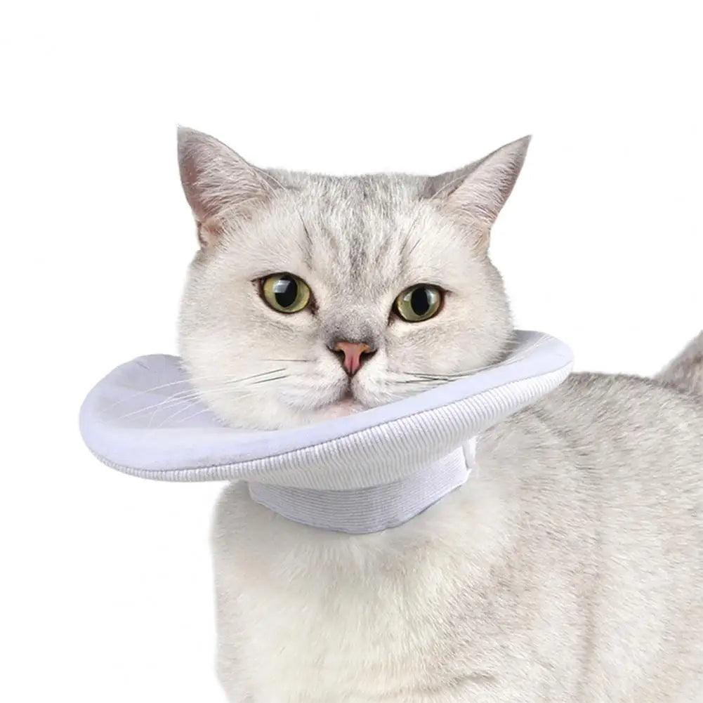 Cat Cone Collar Double Sided Use Fastener Tape Pet Recovery Collar Ant