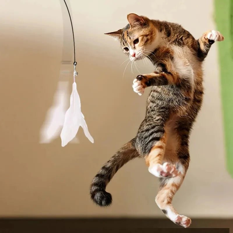Cat Teaser Toy - USA Interactive Bell & Feather Wand - Long Suction Cup Pole for Exciting Playtime Adventures - Ultimate Cat Toy - Ammpoure
