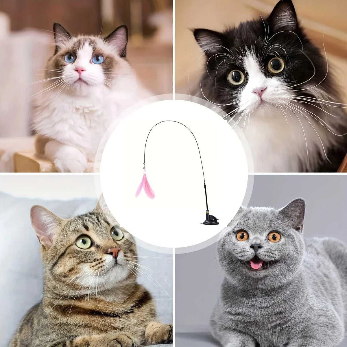 Cat Teaser Toy - USA Interactive Bell & Feather Wand - Long Suction Cup Pole for Exciting Playtime Adventures - Ultimate Cat Toy - Ammpoure