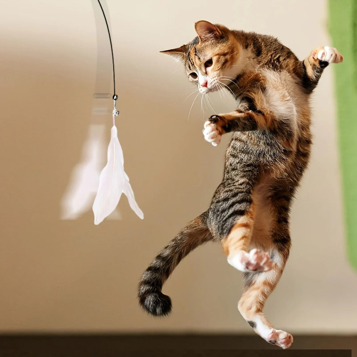 Cat Teaser Toy - USA Interactive Bell & Feather Wand - Long Suction Cup Pole for Exciting Playtime Adventures - Ultimate Cat Toy - Ammpoure