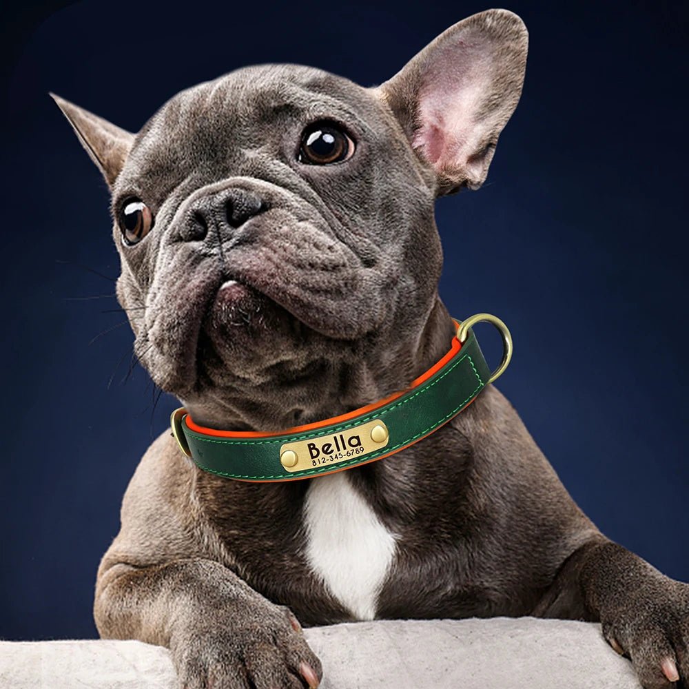 Customized PU Leather Nameplate Dog Collar Soft Padded Dogs Collars Free Engraving Name for Small Medium Large Dogs Adjustable - Ammpoure