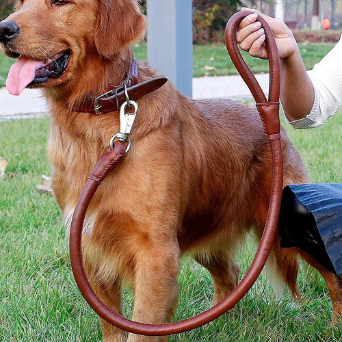 Dog Collar Leash Set Harness Pet Collar Leather Large Dog Puppy Accessories Pets Supplies German Shepherd Golden Retriever - Ammpoure Wellbeing 🇬🇧