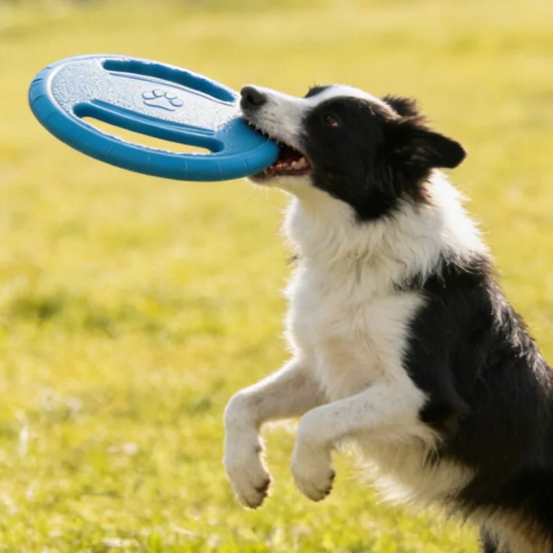 Dogs EVA USA Flying Disc Tooth Chew Play Train Toy Indestructible Pet Supplies Toys Large Safe Small Dog Joint Tough Toys Resistant - Ammpoure