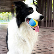 Load image into Gallery viewer, Dogs Interactive Toys Soft TPR Toys for Dog Pet Teeth Cleaning Bite Resistance Squeaky Dog Ball Toy - Ammpoure Wellbeing 🇬🇧
