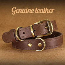 Load image into Gallery viewer, Durable Leather Dog Collar Real Leather Dog Collars Adjustable For Medium Large Dogs German Shepherd Training Hunting Brown - Ammpoure Wellbeing 🇬🇧
