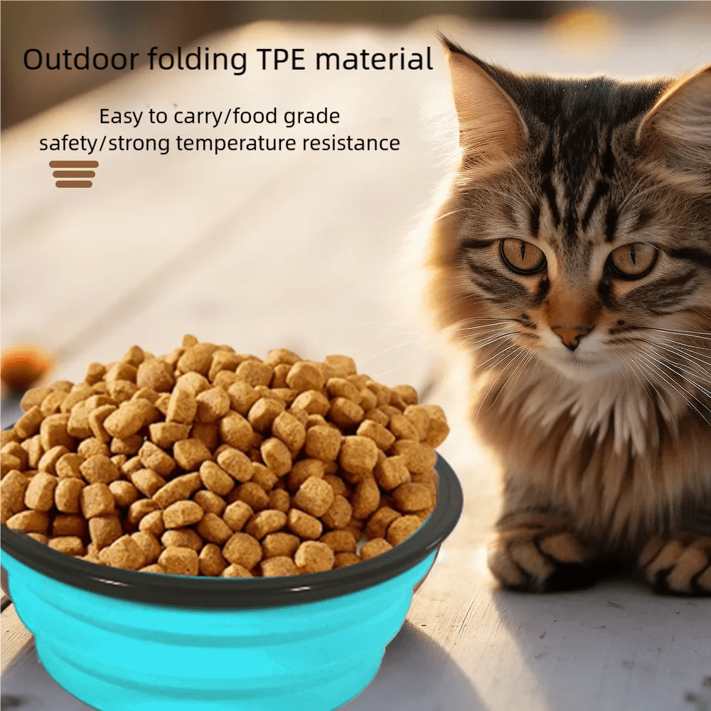Durable TPR Portable Pet Food Bowl USA for Cats & Dogs, Collapsible Travel Water & Food Bowl for Outdoor Pet Use - Ammpoure