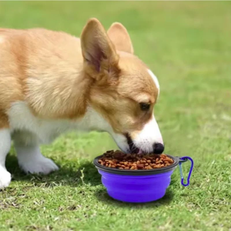 Durable TPR Portable Pet Food Bowl USA for Cats & Dogs, Collapsible Travel Water & Food Bowl for Outdoor Pet Use - Ammpoure