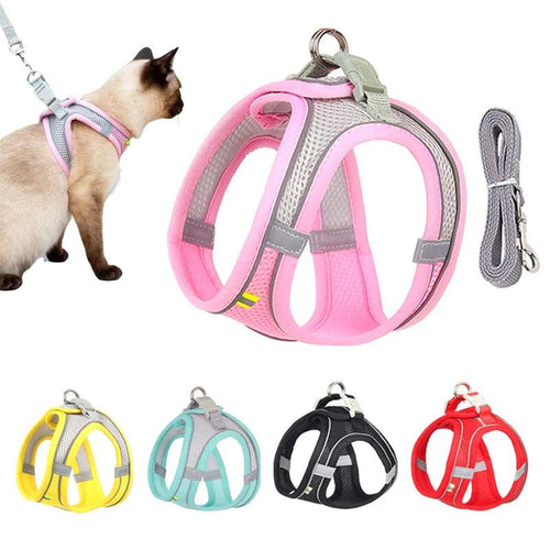 Escape Proof Cat Harness and Leash Set Adjustable Mesh Dog Harness Vest Puppy Pet Walking Lead Leash Small Dogs Cats Kitten XXS - Ammpoure Wellbeing 🇬🇧