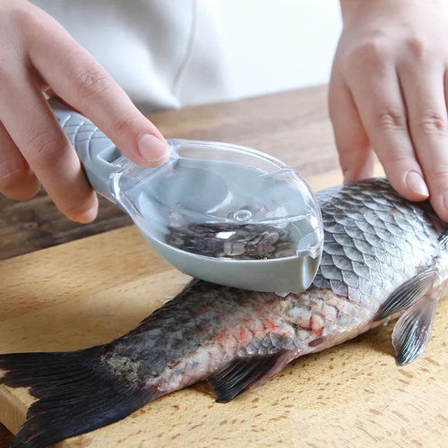 Fish Scales Graters Scraper Fish Cleaning Tool Scraping Scales Device with Cover Home Kitchen Cooking Fish Tool Kitchen Tools - Ammpoure Wellbeing 🇬🇧