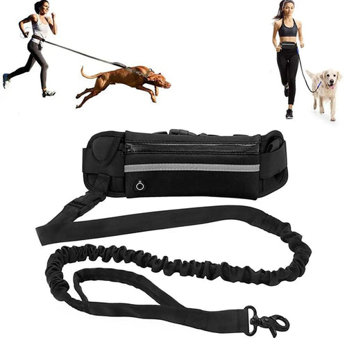 Hands Free Dog Leash for Running Walking Reflective Leash with Waist Bag Retractable Elastic Belt Dog Traction Rope Pet Products - Ammpoure Wellbeing 🇬🇧