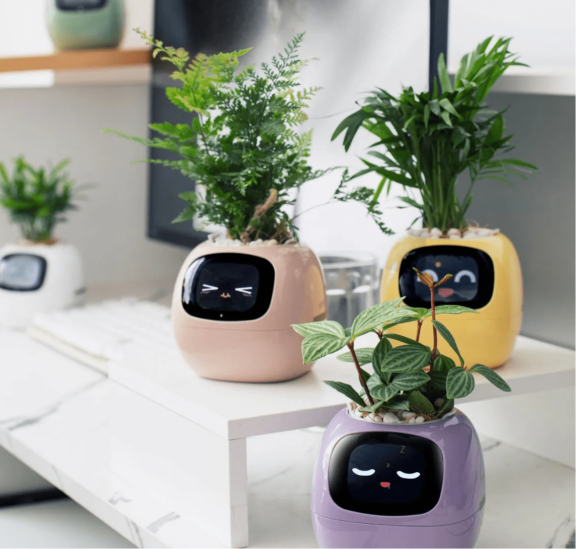 Ivy Smart Planter,Endless Fun Over 49 Rich Expressions,7 smart sensors,AI Chips Make Raising Plants Easy and Fun - Ammpoure