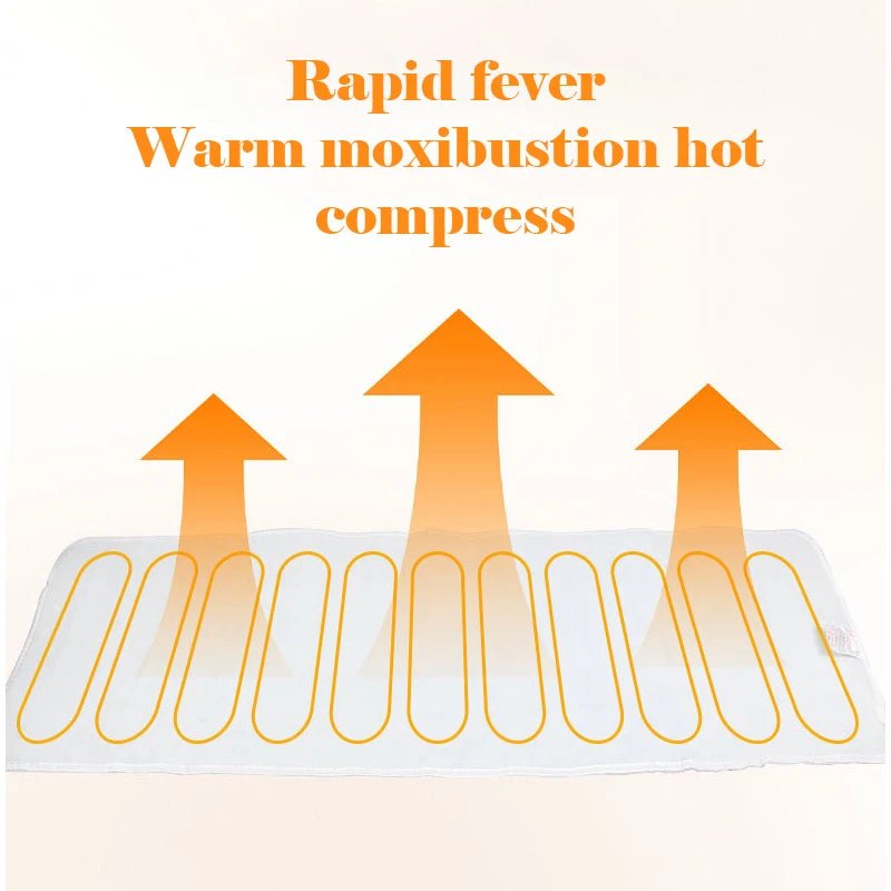 Large Area Moxibustion Massage Mat Electric Heating Blanket Hot Compress Back Waist Household Physical Therapy Acupressure Pads - Ammpoure