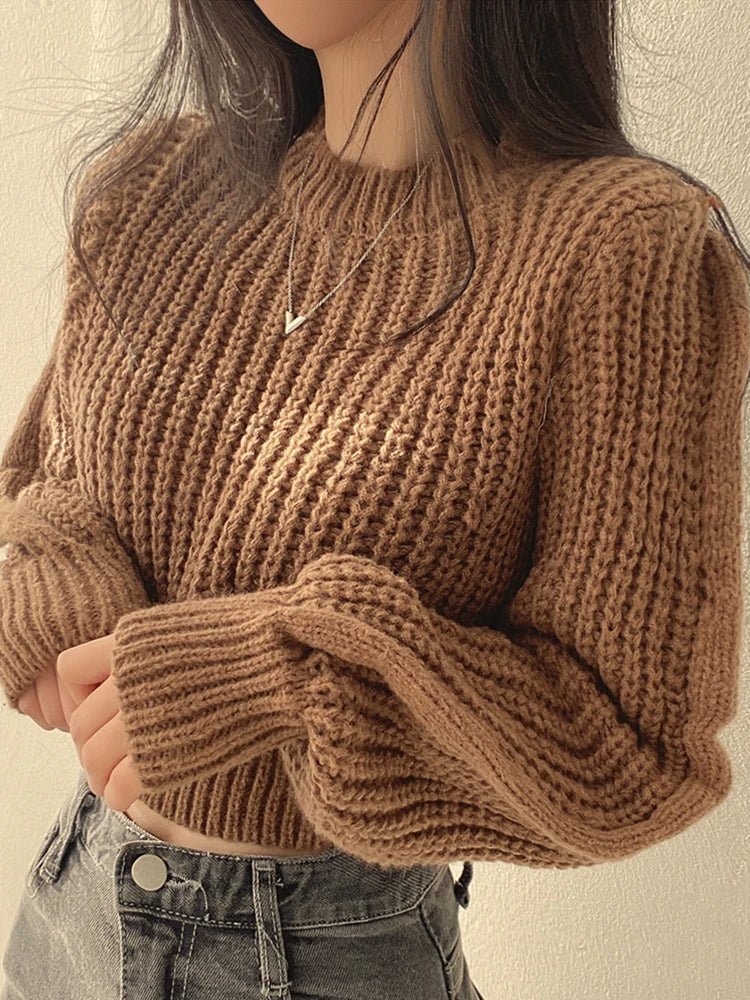Loose Vintage Harajuku Lantern Long Sleeve Women Sweater Korean Autumn Winter Knitwear Soft Warm Tops Chic Solid Femme Sweater - Ammpoure Wellbeing