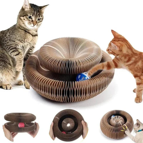 Magic Organ Cat Toy Cats Scratcher Scratch Board Round Corrugated Scratching Post Toys for Cats Grinding Claw Cat Accessories - Ammpoure Wellbeing 🇬🇧