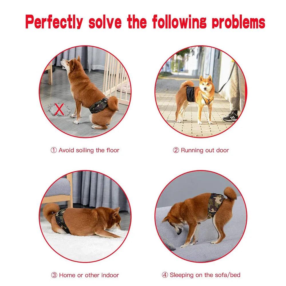 Belly band male dog wrap online