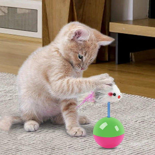 New cat toys set Mouse not tumbler fun teasing cats and dogs self high toys pet supplies set of toys teasing cat toys - Ammpoure Wellbeing 🇬🇧