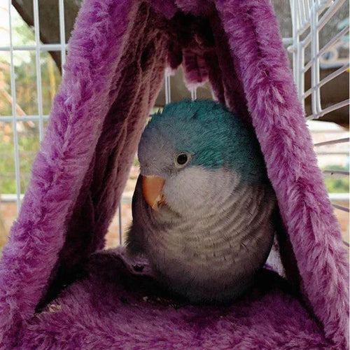 Pet Bird Parrot Cages Warm Hammock Hut Tent Fashion Bed Hanging Cave for Sleeping and Hatching Cage Decoration - Ammpoure Wellbeing 🇬🇧