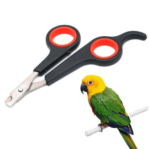 Pet Bird Parrot Small Animals Accessory Grooming Tool Nail Scissors Clipper Black And Red - Ammpoure Wellbeing 🇬🇧