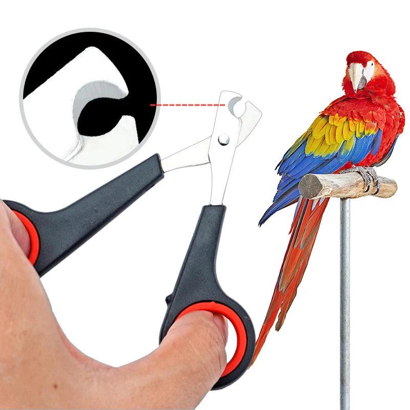 Pet Bird Parrot Small Animals Accessory Grooming Tool Nail Scissors Cl