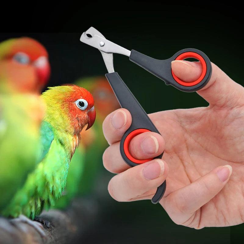 Bird grooming shop deals