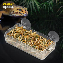 Load image into Gallery viewer, Pet Reptile Transparent Feeder Anti-escape Food Bowl Worm Live Container With Strong Suction Cups Pet Supplies - Ammpoure Wellbeing 🇬🇧
