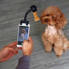 Load image into Gallery viewer, Pet Selfie Stick for Dogs Cat photography tools Pet Interaction Toys Concentrate Training Supplies Dog Accessories Drop Shipping - Ammpoure Wellbeing
