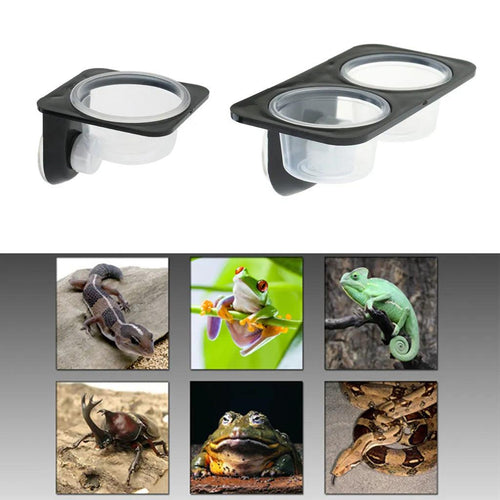 Reptiles & Amphibians Lizard Gecko Suction Cup Feed Bowls Food Container with Bowl for Reptile Food and Water Feeding - Ammpoure Wellbeing 🇬🇧