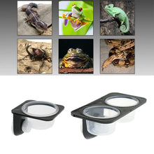 Load image into Gallery viewer, Reptiles &amp; Amphibians Lizard Gecko Suction Cup Feed Bowls Food Container with Bowl for Reptile Food and Water Feeding - Ammpoure Wellbeing 🇬🇧
