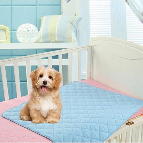 Thicken Reusable 3 Layers Pet Diaper Pad Quickdry Urine Nappy Waterproof Pee Mat for Cats Dog Diaper Deodorant Pet Supplies - Ammpoure Wellbeing 🇬🇧